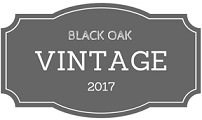 Black Oak Vintage Vacuums